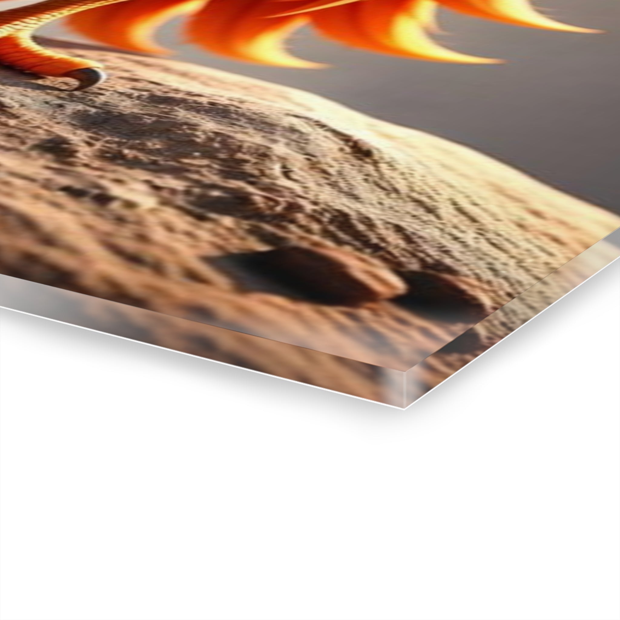 Blaze #1 - Acrylc Print